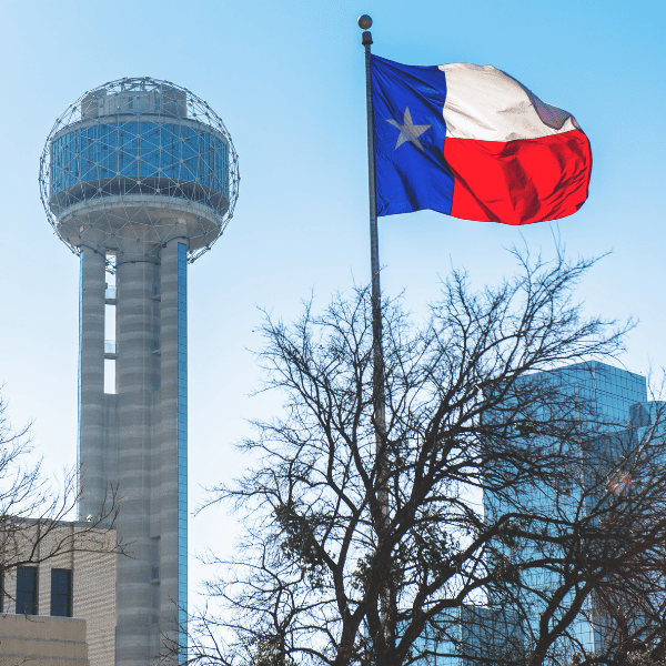 Reunion Tower and the Texas State Flag