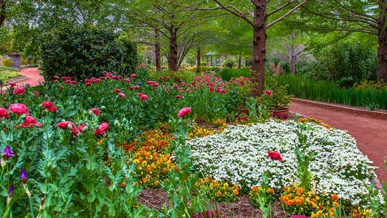 A flower garden and trees