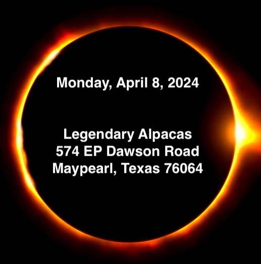 Legendary Alpaca graphics for the solar eclipse