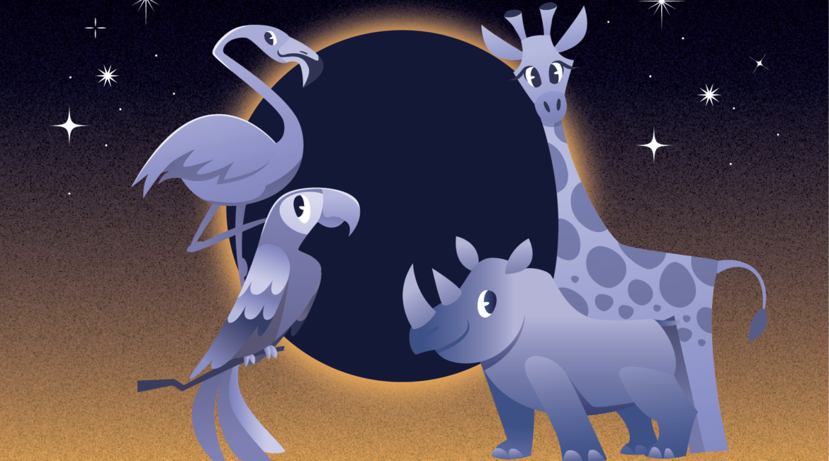 Fort Worth Zoo graphic for solar eclipse